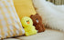 LINE FRIENDS BROWN FLAT FUR DOLL